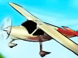 Will It Fly?